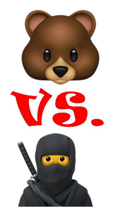 Bear vs. Ninja